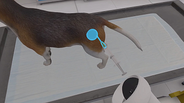 Программный VR-комплекс «Перспектива» — Ветеринар – портал поставщиков НСППО - 6